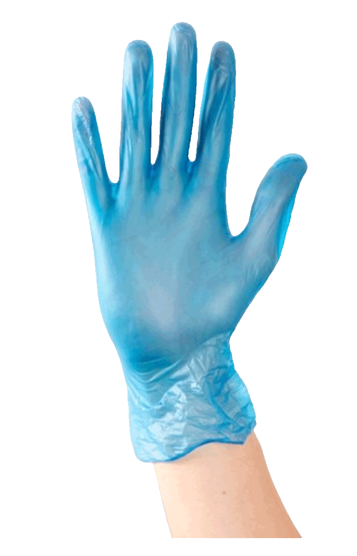 Blue Vinyl Gloves Powder Free Medium