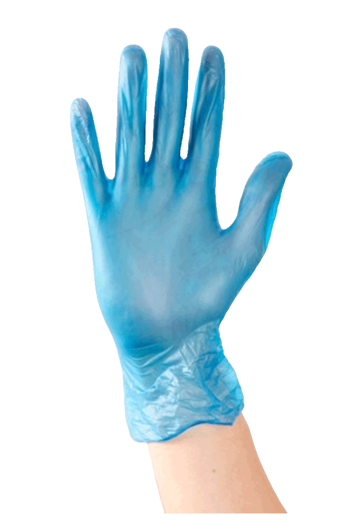 Blue Vinyl Gloves Powder Free Large