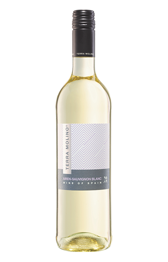 TERRA MOLINO AIREN-SAUVIGNON BLANC