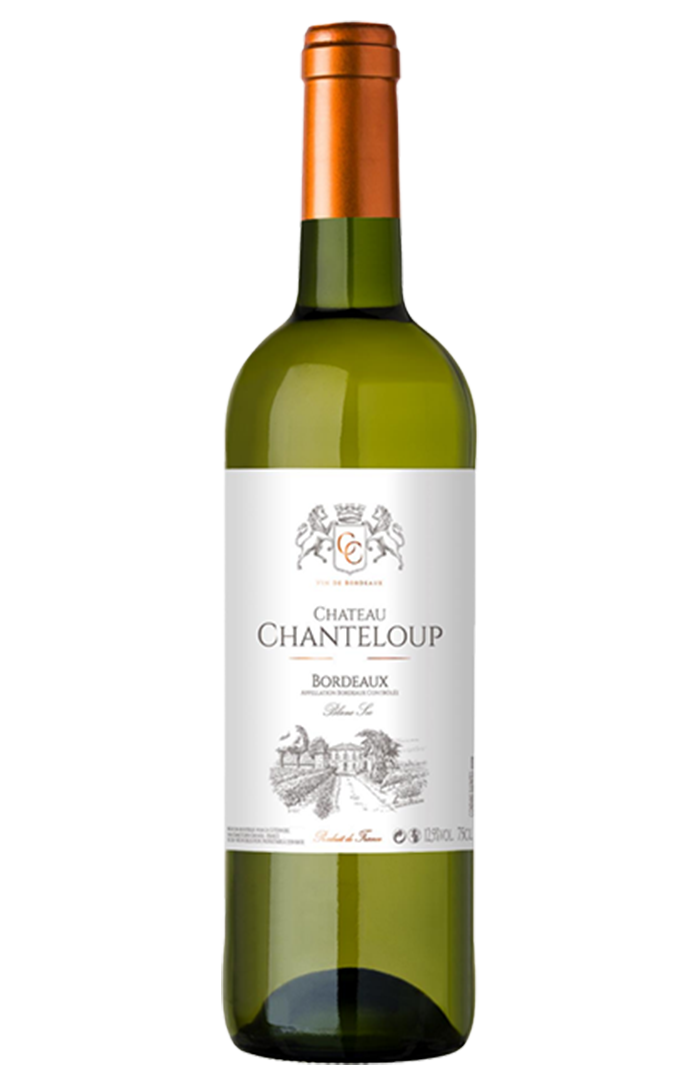 CHANTELOUP BORDEAUX SAUVIGNON BLANC