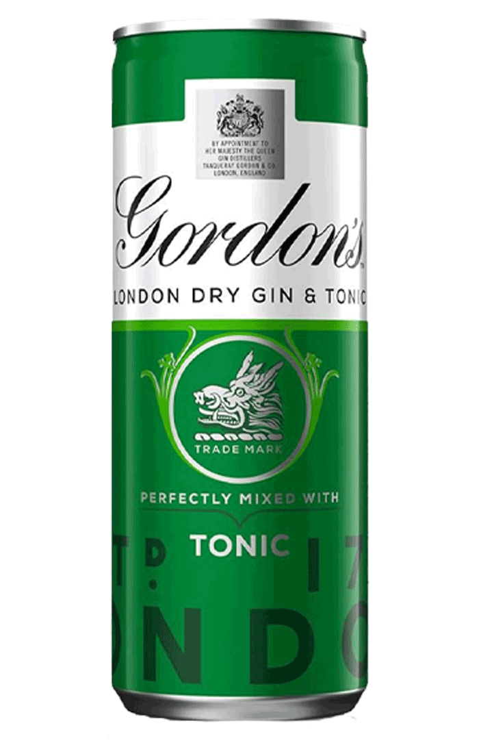 GORDONS LONDON DRY GIN AND TONIC CAN 250 ML